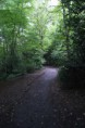 /album/sydenham-woods/a1-jpg2/